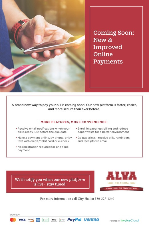 Online Payment Info