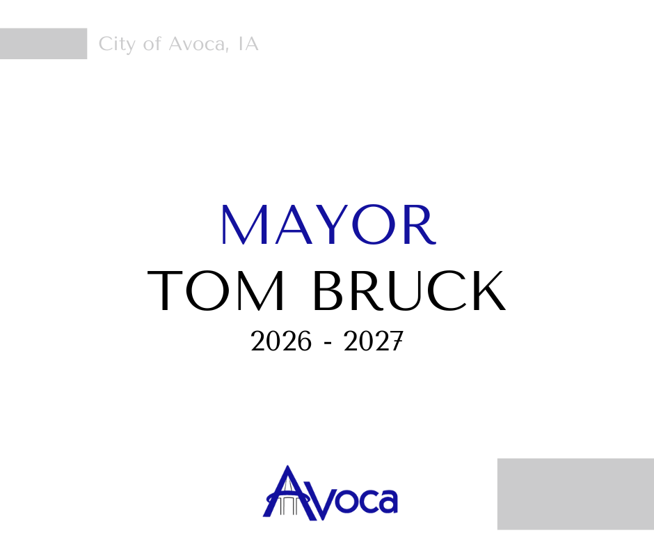 2025 City / School Election