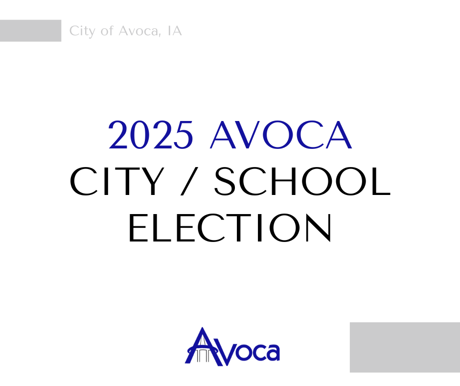 2025 City / School Election
