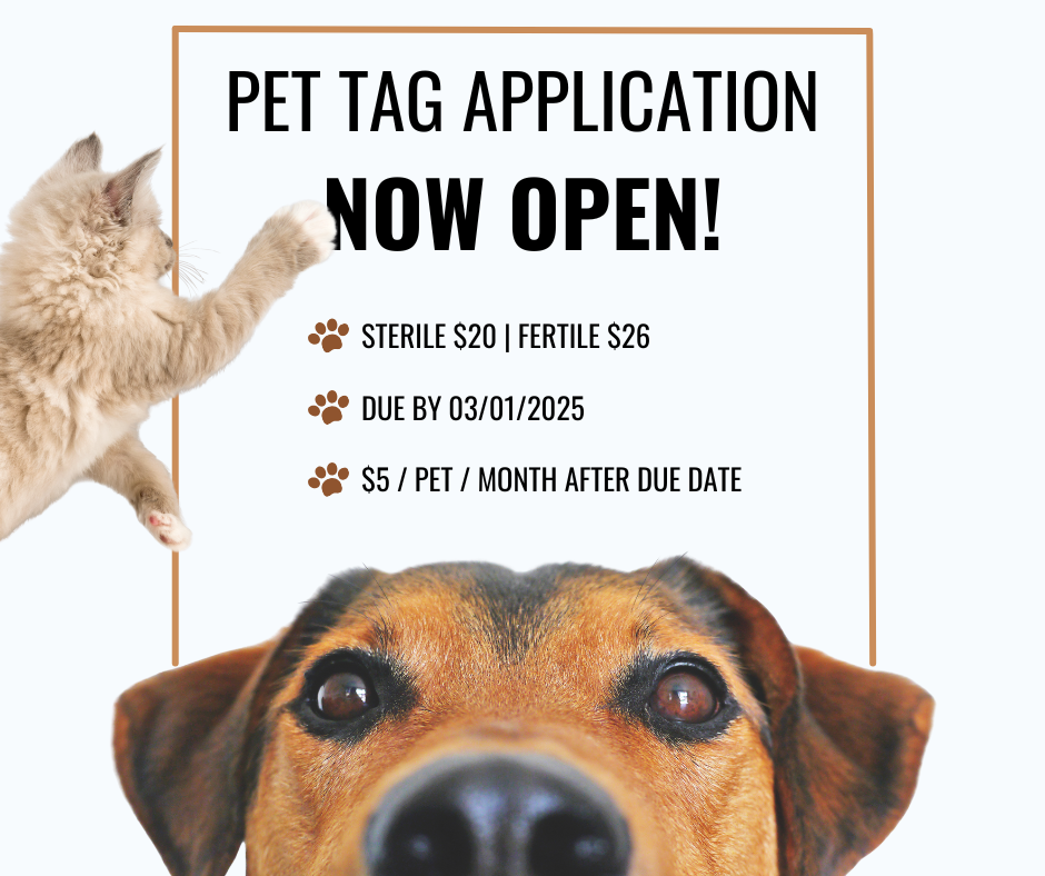 Pet Tag Application