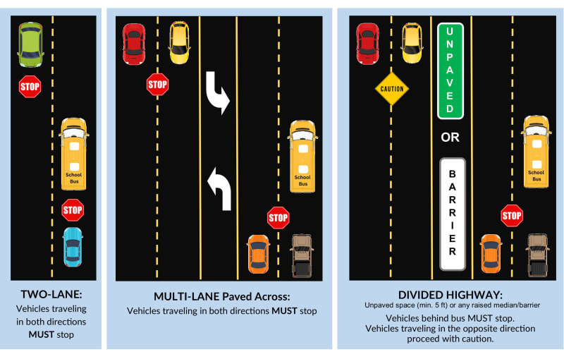 School bus safety graphic