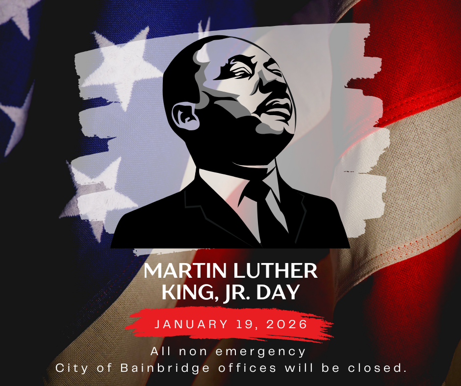 Martin Luther King Jr. Day