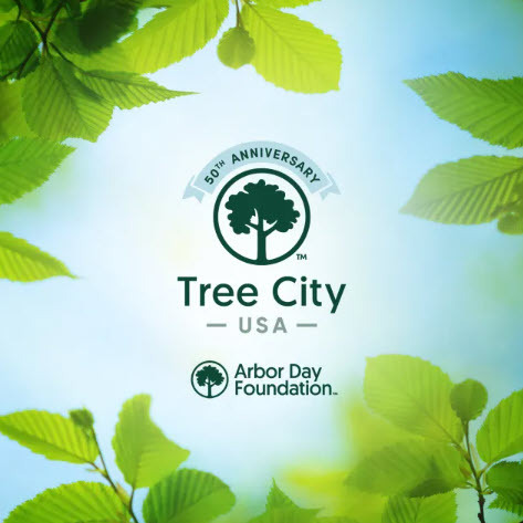 Tree City USA Arbor Day Foundation