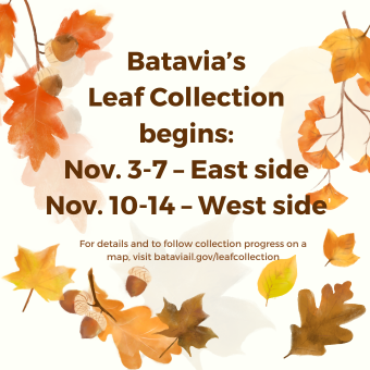 Batavia Leaf Collection Days