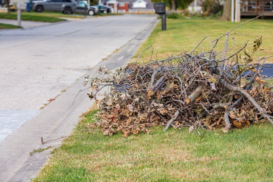 pile of brush on side of street