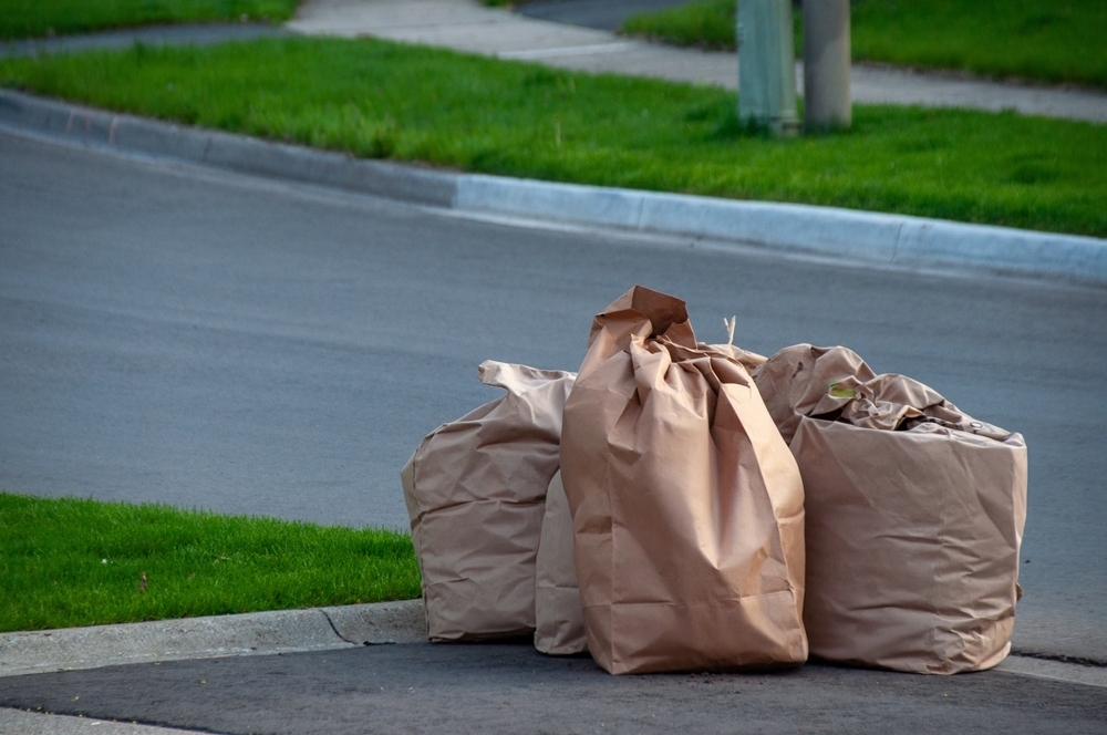 Brown paper bags on the curb