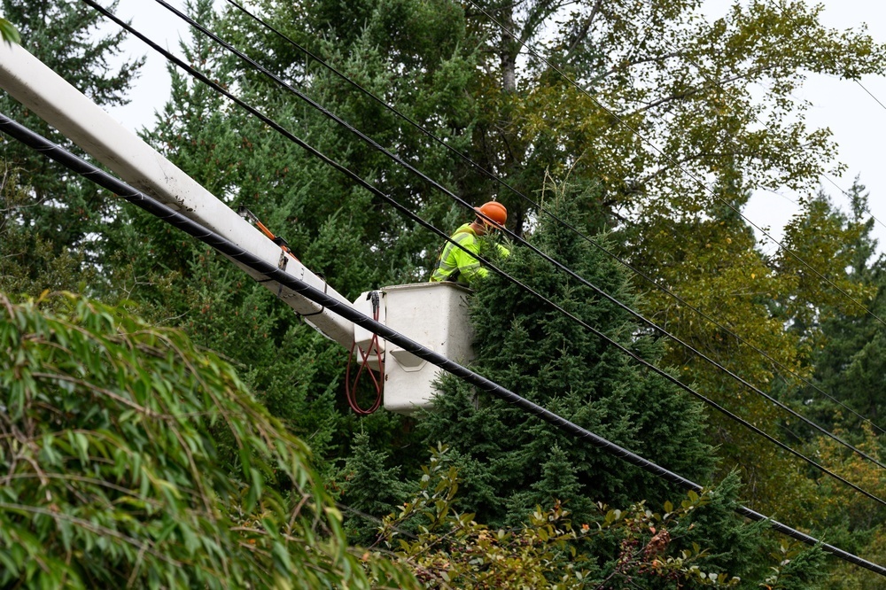 man in a bucket truck trimming trees around a power line