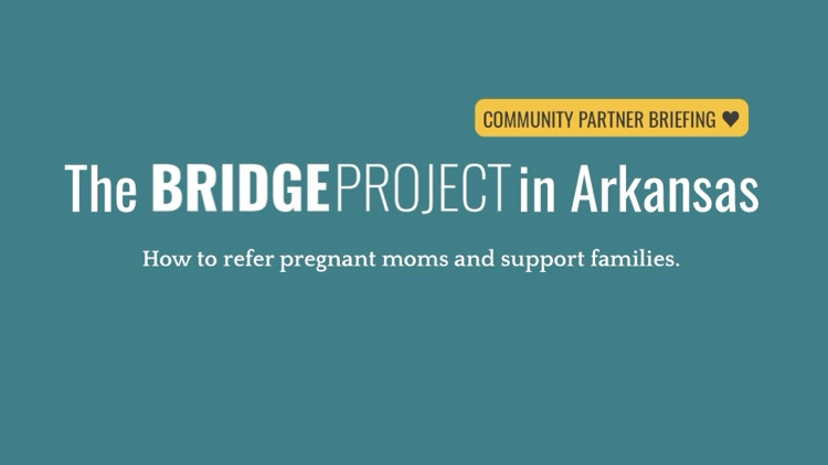 BRIDGE PROJECT  