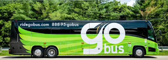 Green and black "Go Bus" parked by a lush tree line. Features large "go bus" logo, contact number, and website. Modern, vibrant design evokes travel.