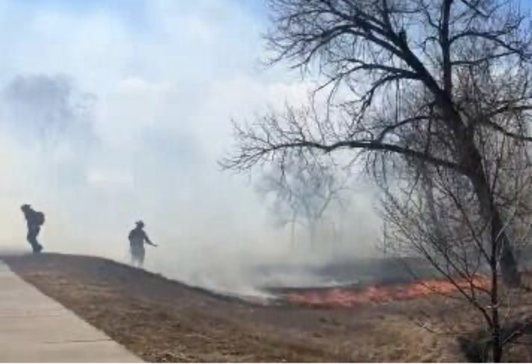 grass fire