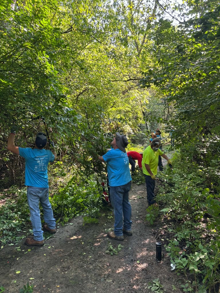 Five people in blue and yellow shirts work in a wooded area, clearing plants and branches from a path.