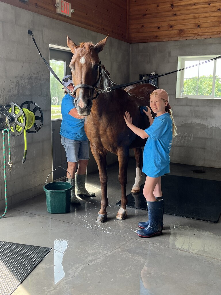 Two people in blue shirts clean a brown horse in a garage, using a hose and bucket.