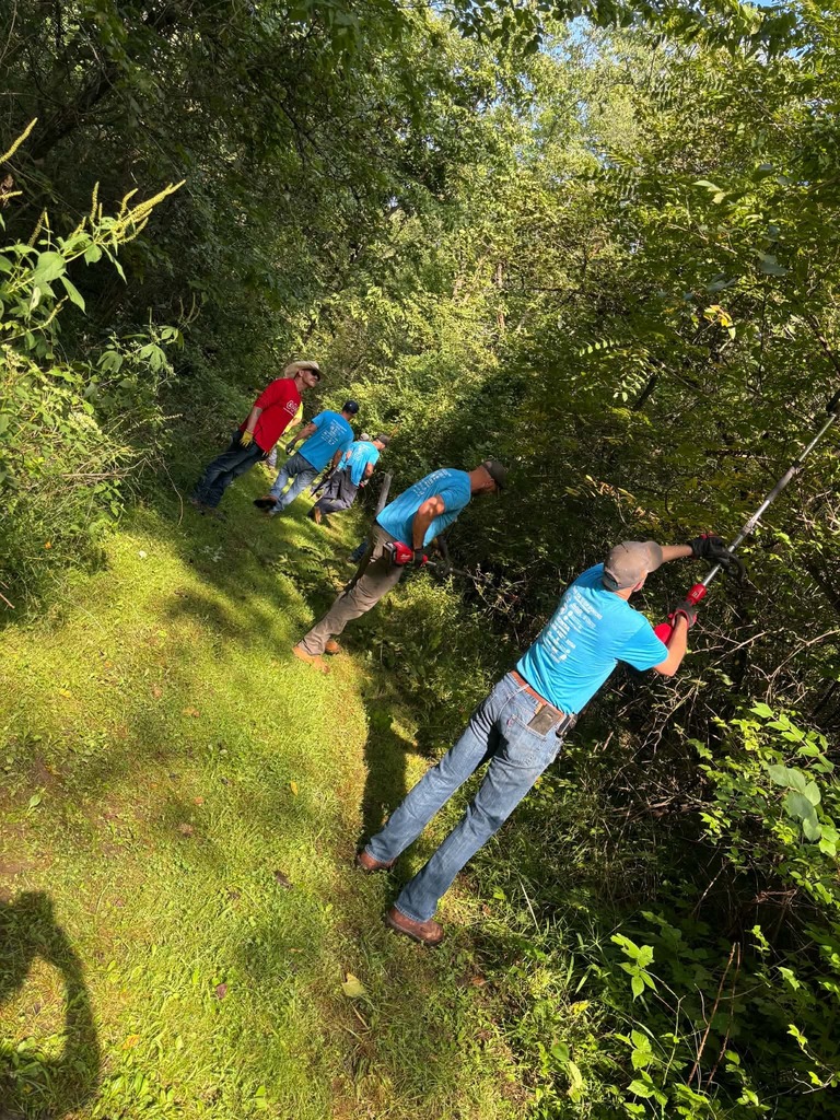 Several people in blue shirts and hats work in a forest with tools. Shadows fall on the grass.