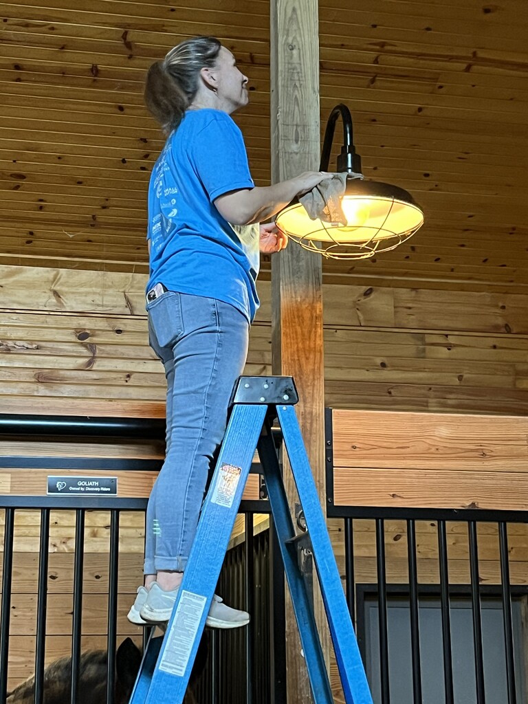 A woman in a blue shirt and jeans stands on a ladder, holding a lamp with a yellow shade.