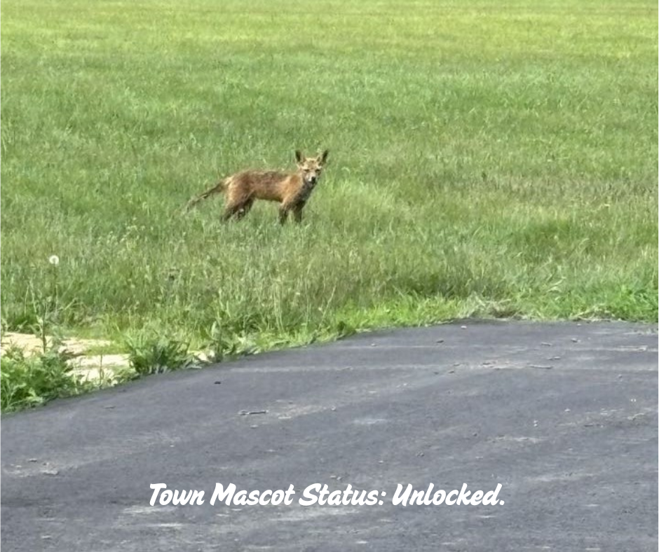 town mascot 