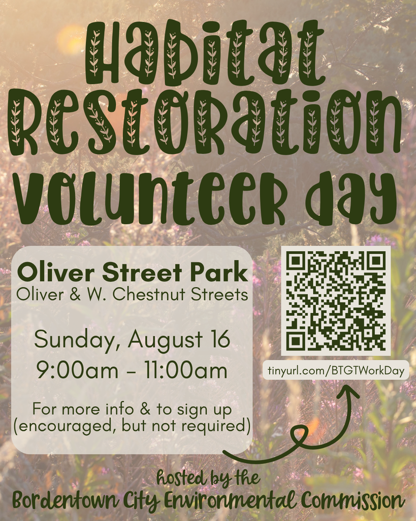 Habitat Restoration Volunteer Day