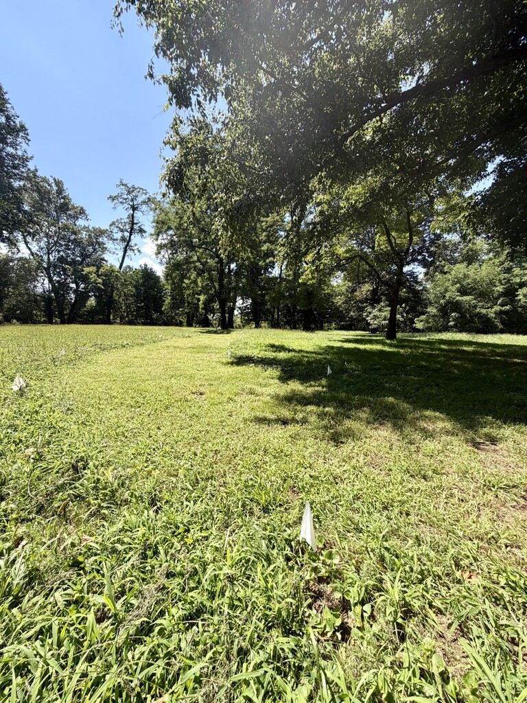 Path 2