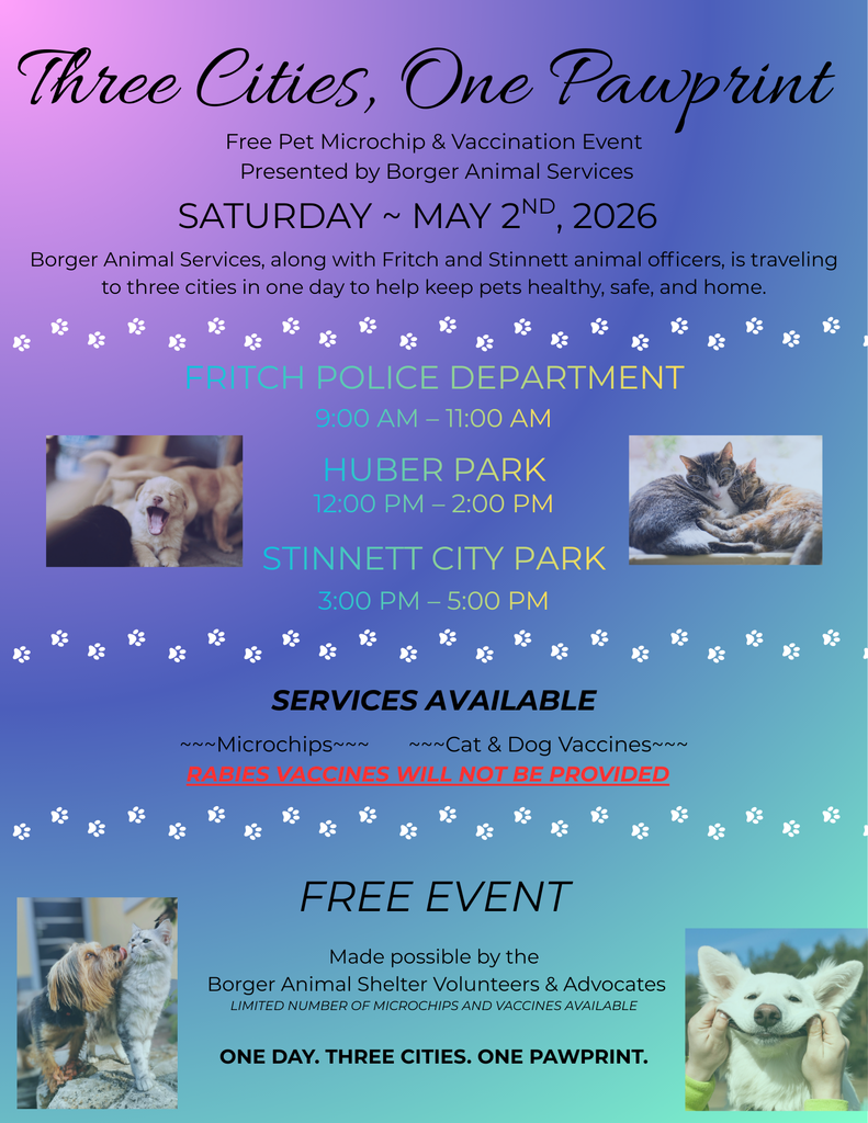 Animal Control Flyer