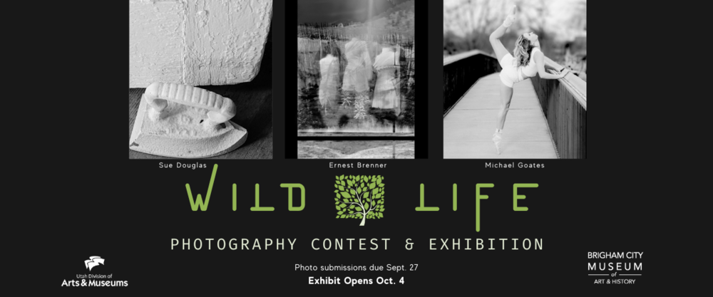 Black and white photos side by side. Left to right, the first photo is of an old iron being used as a door stop. The middle image is a layered image with a forest in the background and a bird in the sky and three women in the foreground. The third image is of a dancer on a bridge. Underneath the images is the caption, "Wild Life: Photography Contest and Exhibition".