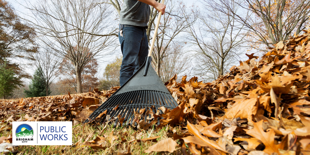 someone pulling a rake through fallen leaves