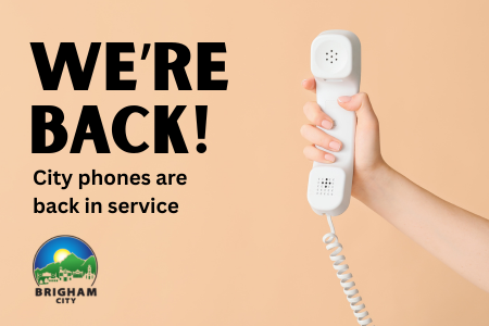 a hand holding a telephone