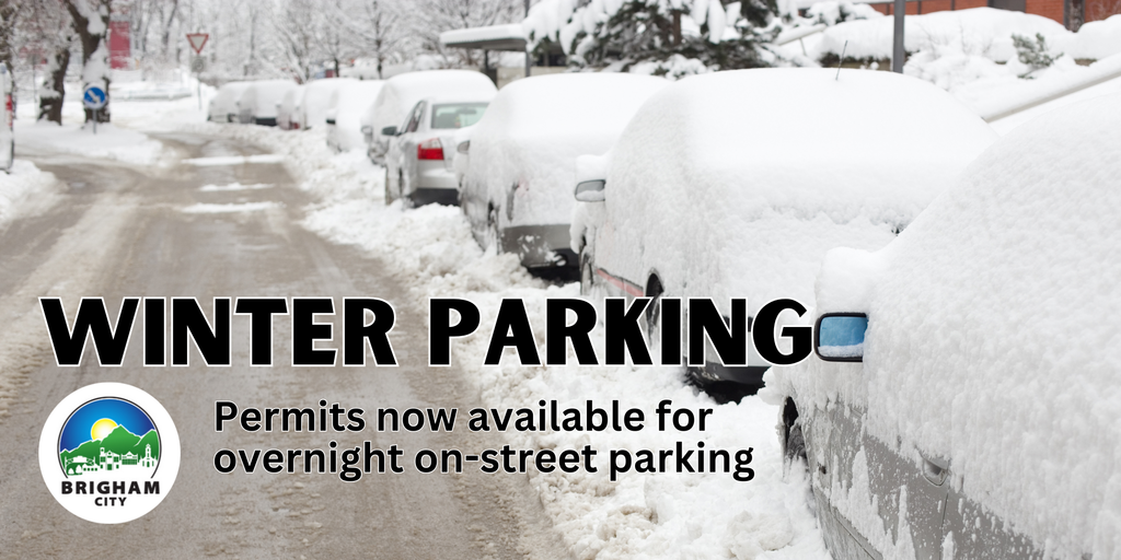 snow-covered cars line a snowy street