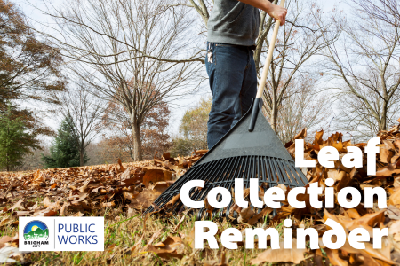 a person rakes leaves under trees