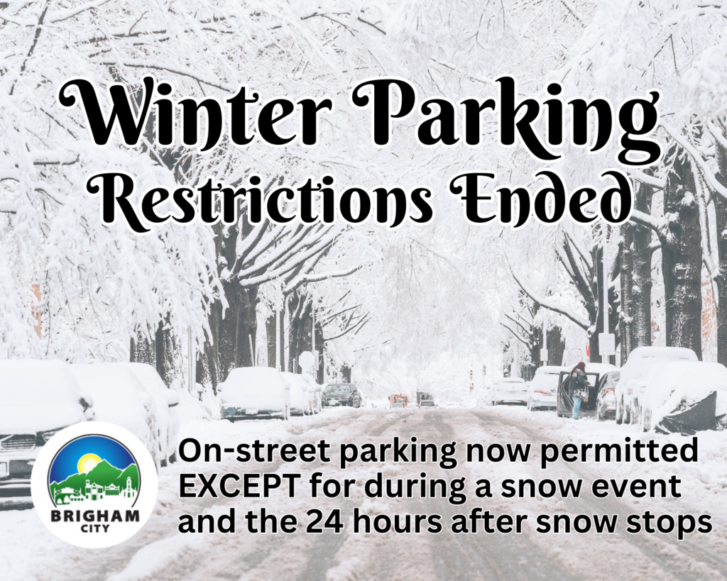 a tree-lined street covered with snow