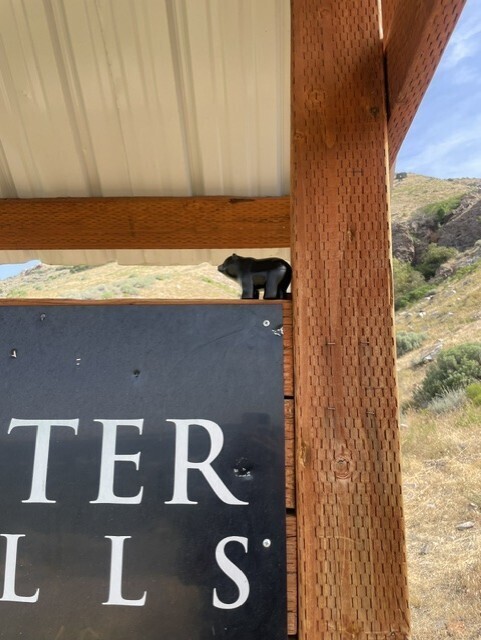 a toy bear on top of a sign