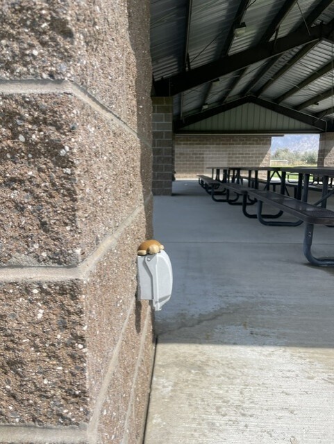 a toy animal on an electrical box attached to a brick wall