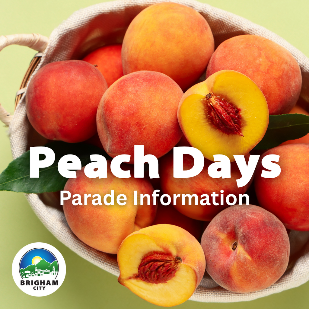 A basket of peaches