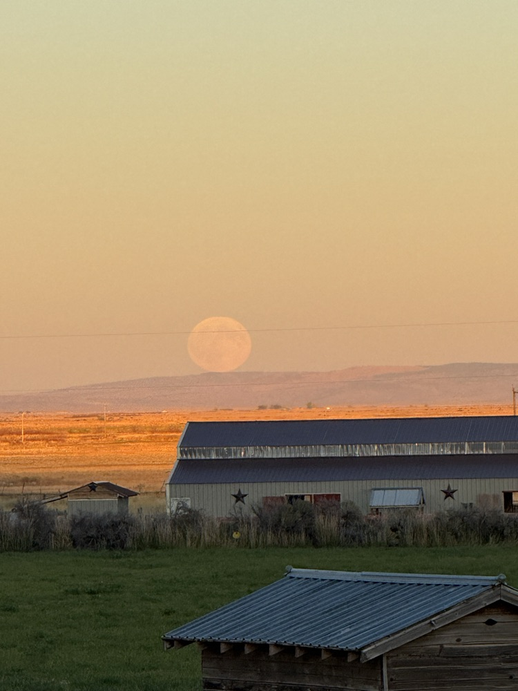 Full Moon Rising 2025 by HLS
