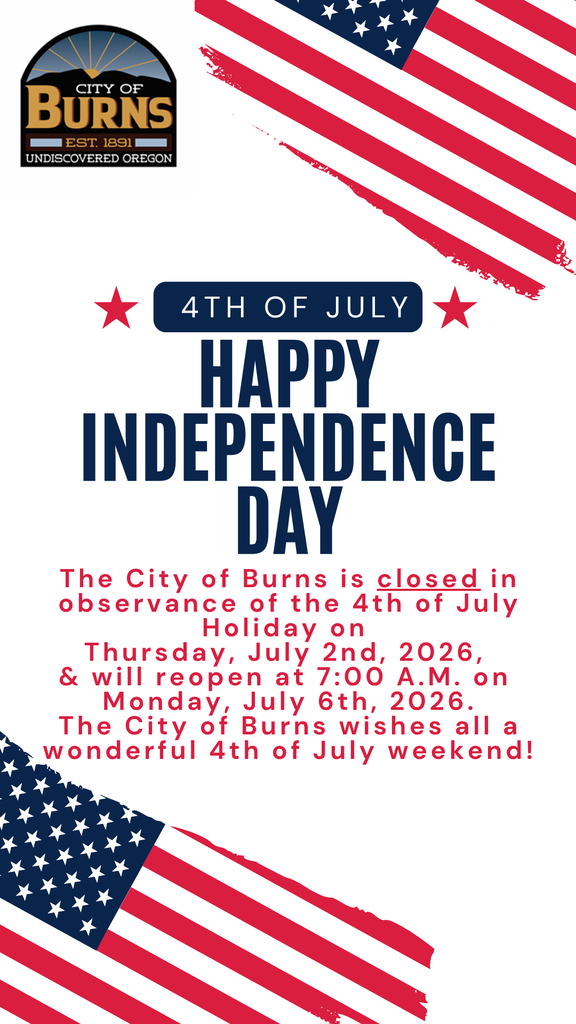 4th of July Poster