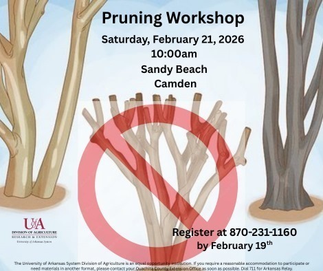 large_b176453f-2ea3-4862-82b8-dff6c4123650