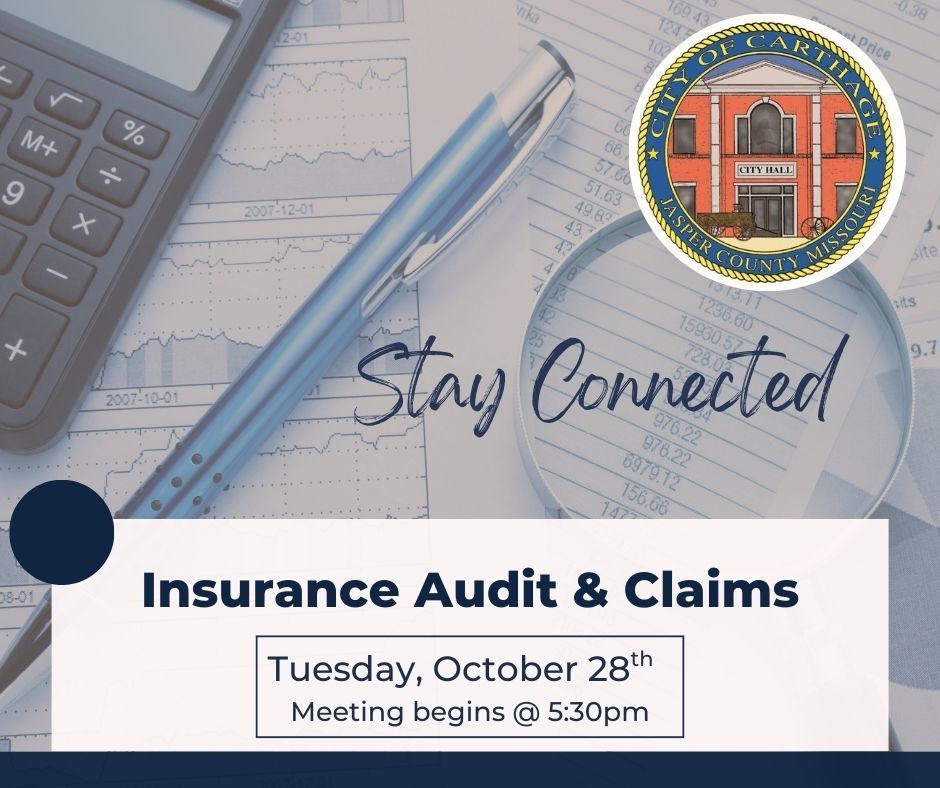 Ins Audit & Claims