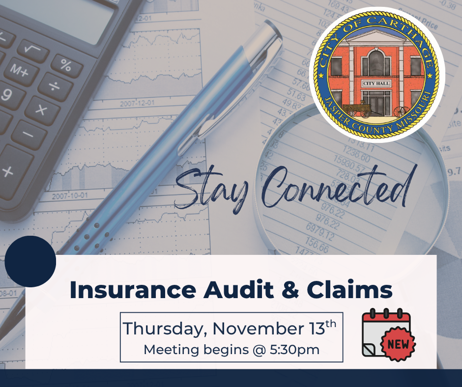 Ins Audit & Claims