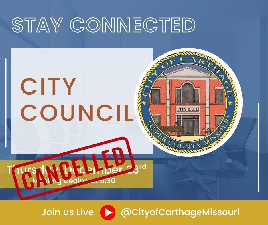 City Council Graphic-2
