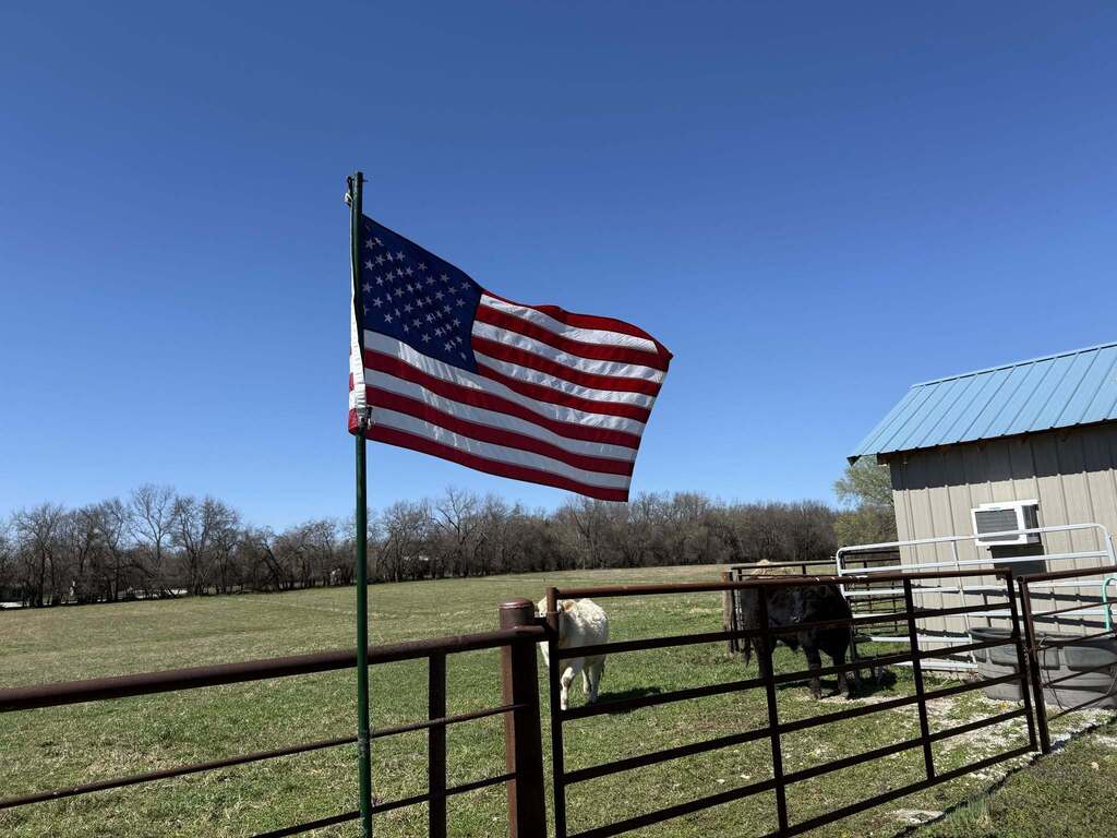 Flag