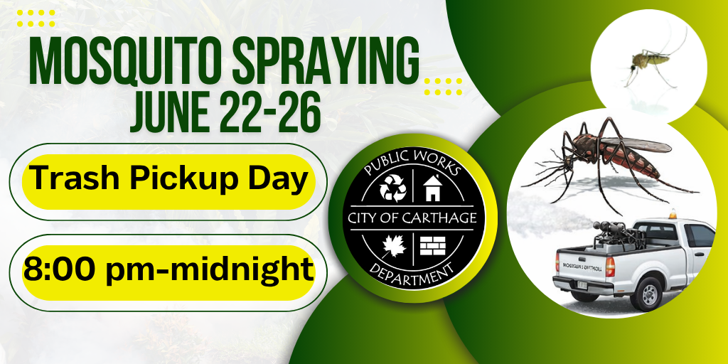 Mosquito Spraying
