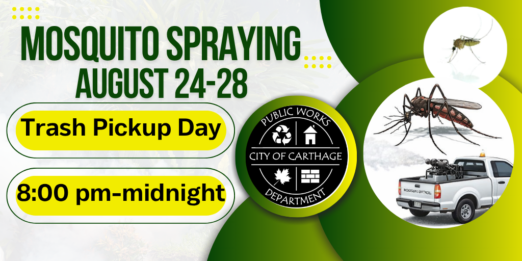 Mosquito Spraying
