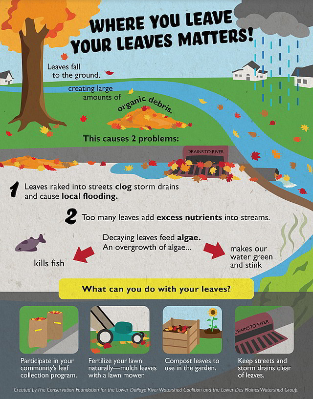 where you leave your leaves