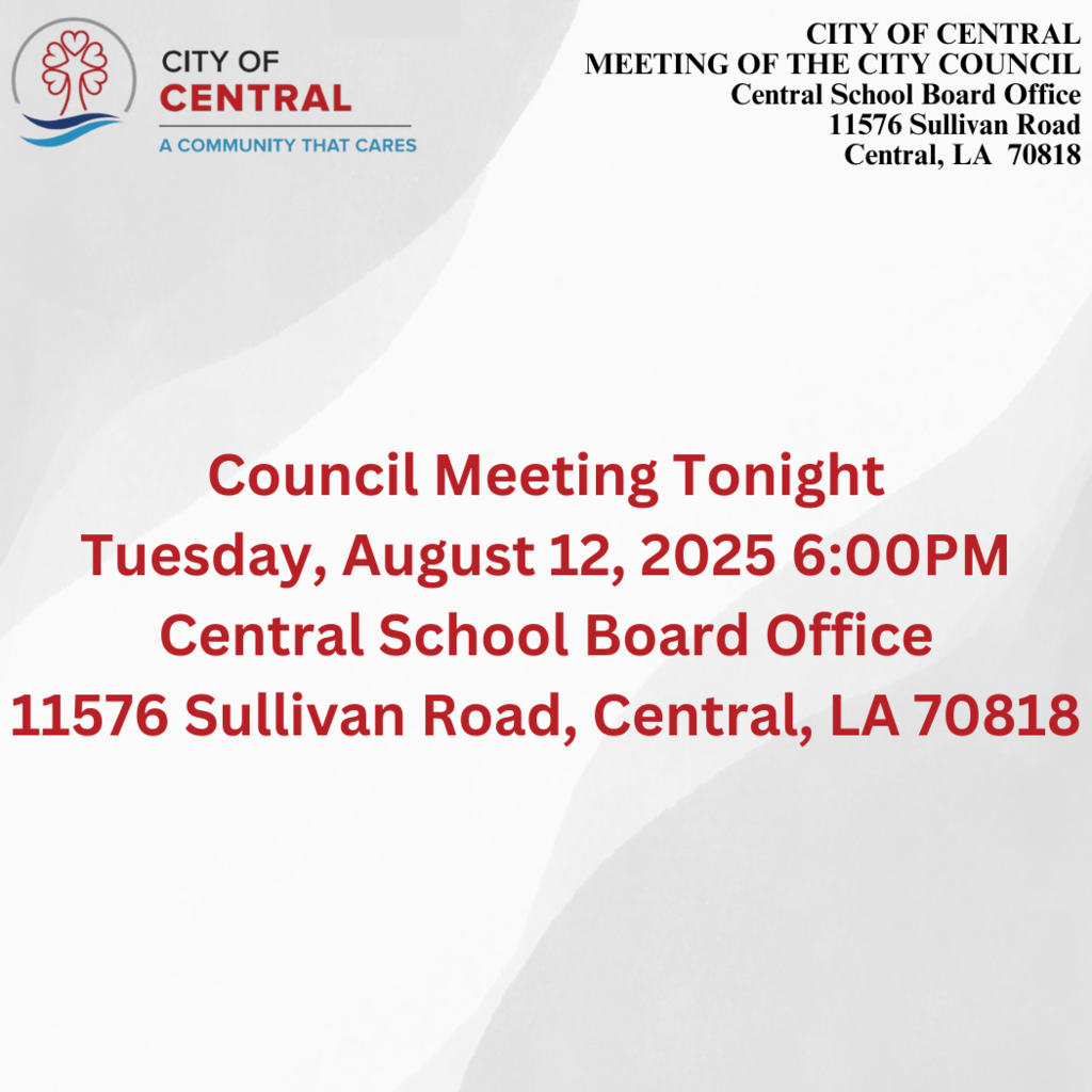 council meeting