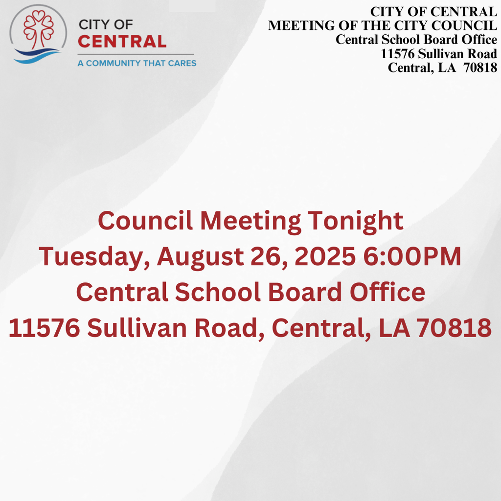 council meeting