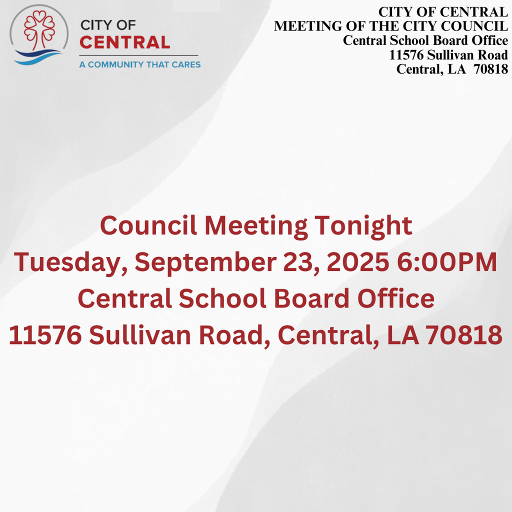 council meeting