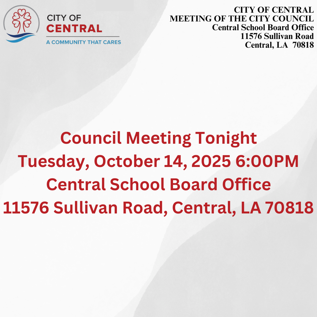 council meeting