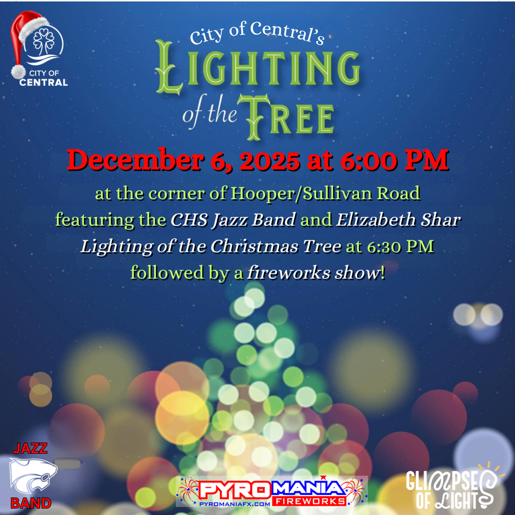 Christmas tree lighting