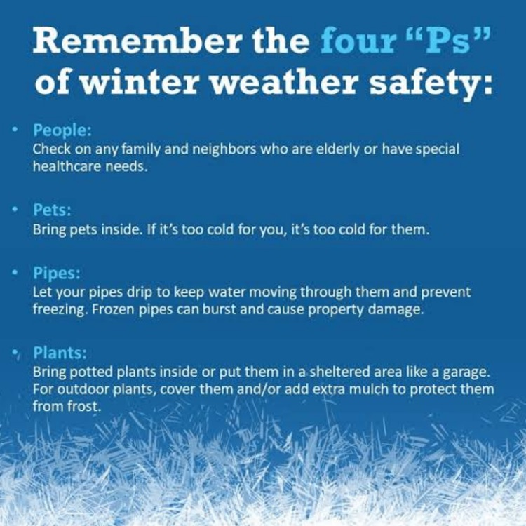 4 Ps for winter 