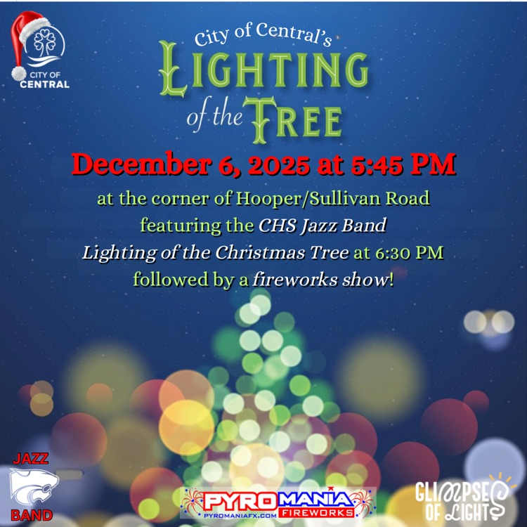 tree lighting
