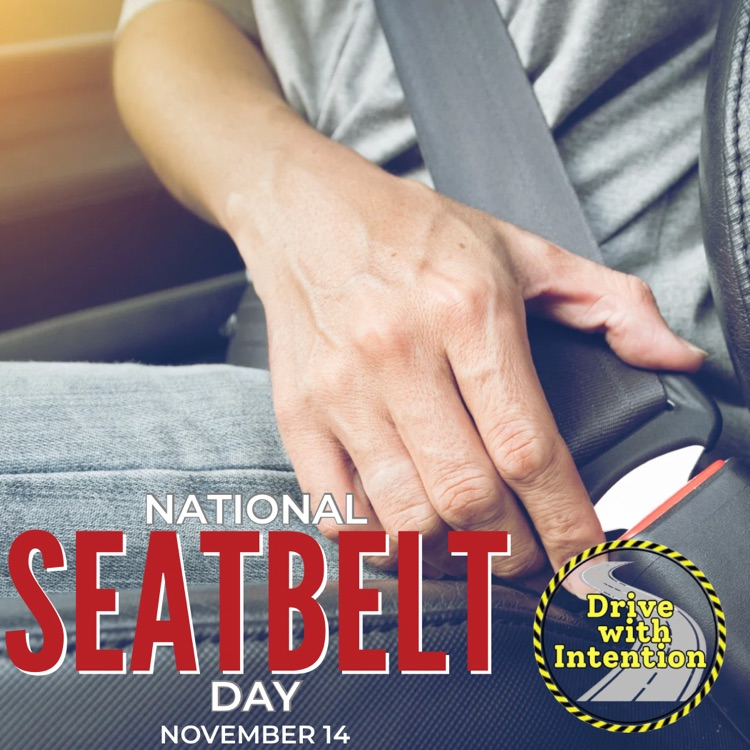 national seatbelt day