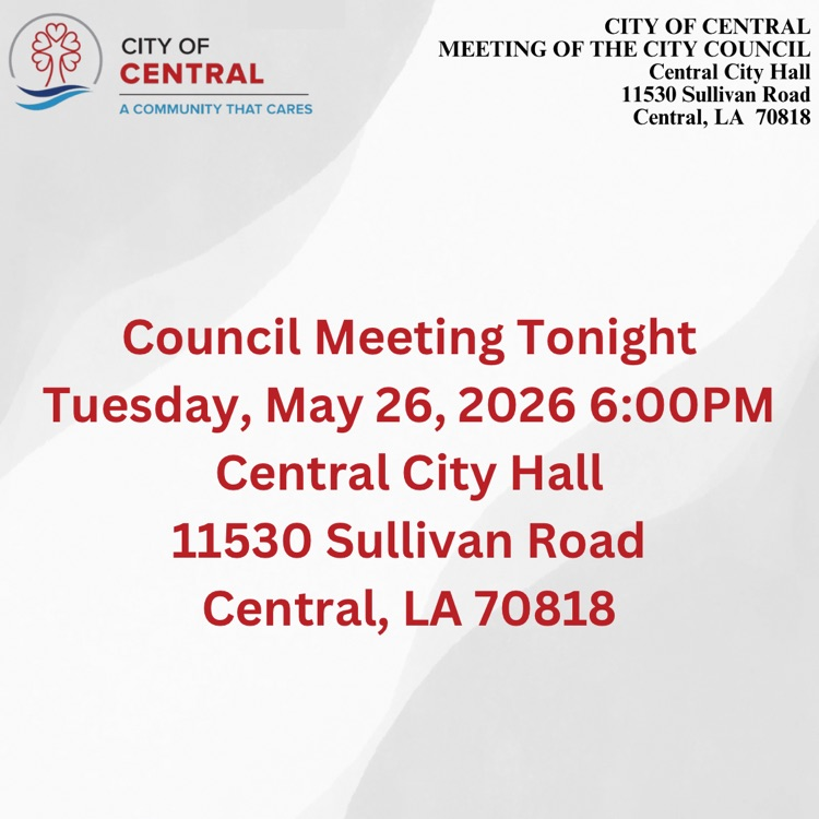 council meeting